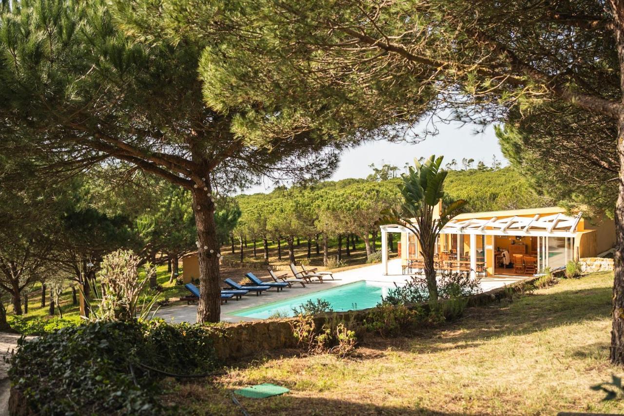 Quinta Raposeiros Lejlighed Santo Isidoro Eksteriør billede