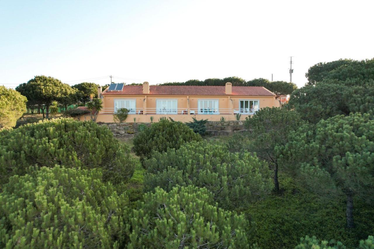 Quinta Raposeiros Lejlighed Santo Isidoro Eksteriør billede
