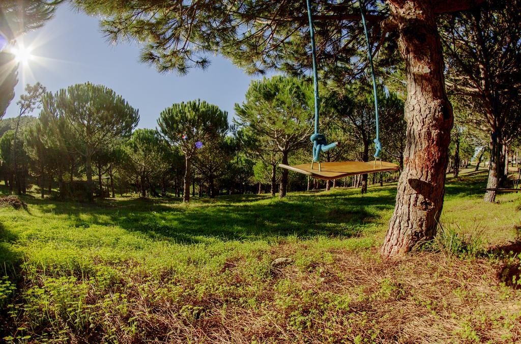 Quinta Raposeiros Lejlighed Santo Isidoro Eksteriør billede